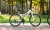 Bicycle Rental